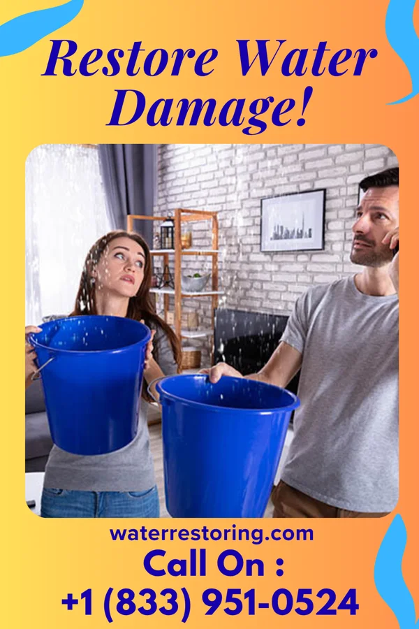 water restoration Pinnacle Water Damage Experts Sabina