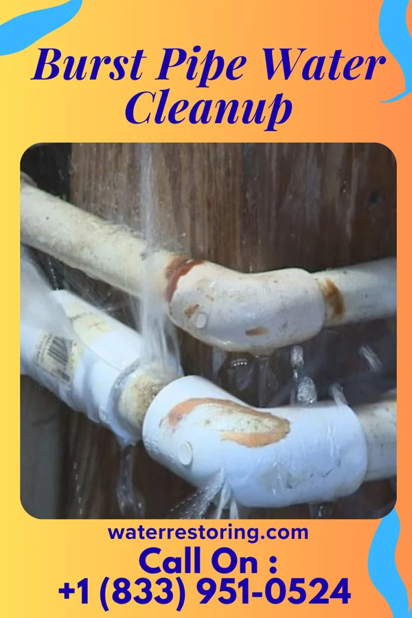 Burst Pipe Water Cleanup in Sabina, OH