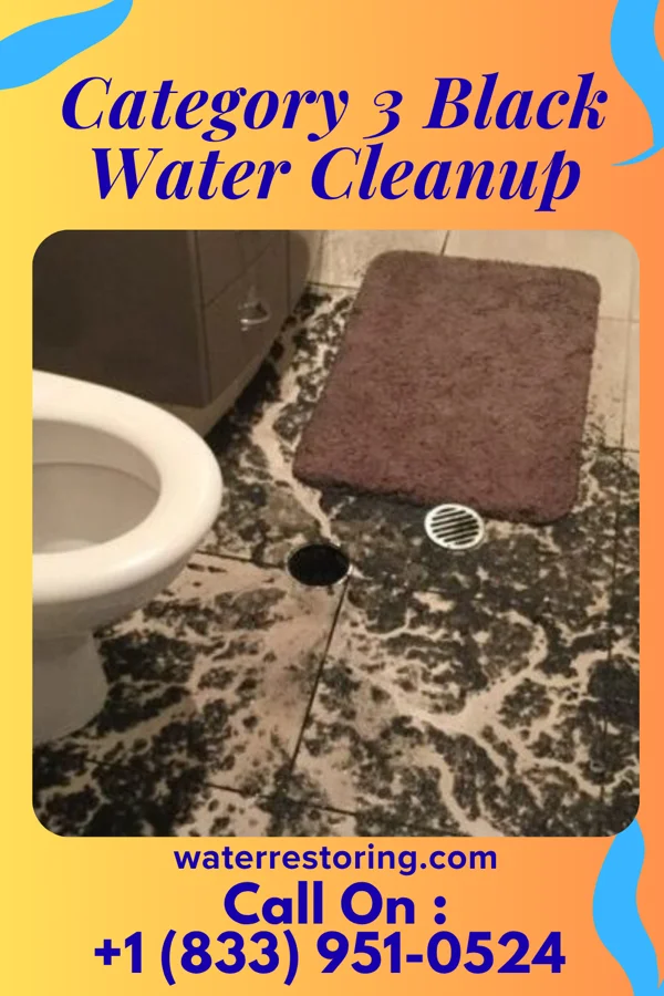 Category 3 Black Water Cleanup in Sabina, OH