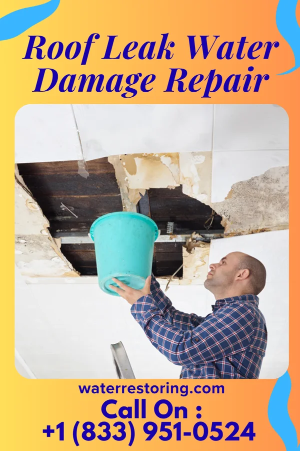 Roof Leak Water Damage Repair in Sabina, OH